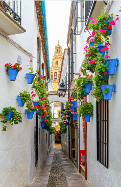 Explora la belleza única de la Calleja de las Flores, un rincón pintoresco en Córdoba